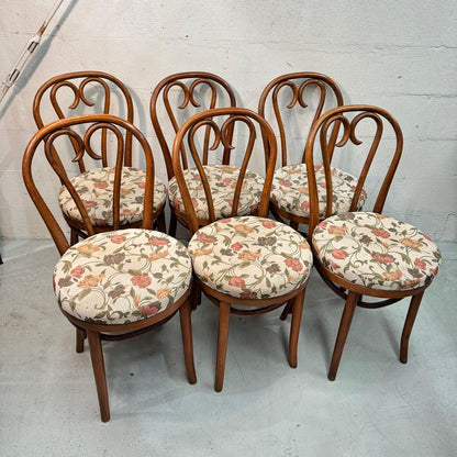 Mid Century Romanian Bentwood Chairs Set with floral upholstered seats